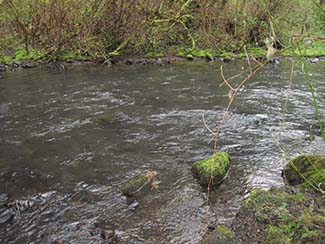 Pic of Sain Creek