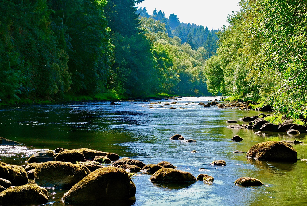 Tualatin River