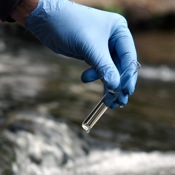 sample water in a test tube at a river